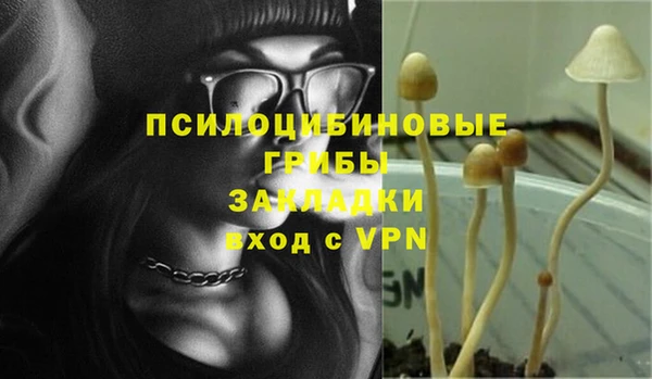 винт Баксан