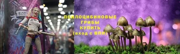a pvp Балахна