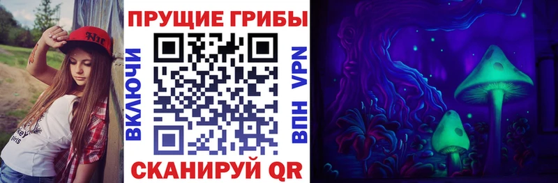 Псилоцибиновые грибы GOLDEN TEACHER  omg зеркало  Ялуторовск 