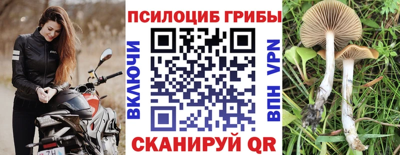 Псилоцибиновые грибы мицелий Ялуторовск