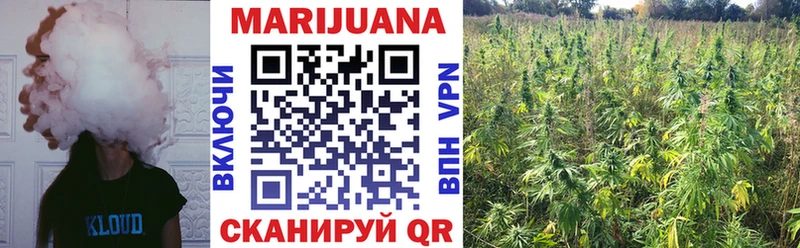 Бошки марихуана план blacksprut вход Ялуторовск